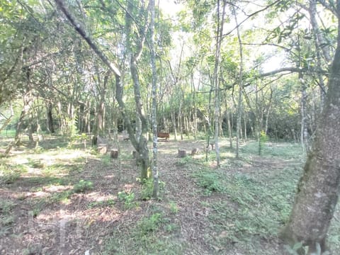 Image 46 - 239663